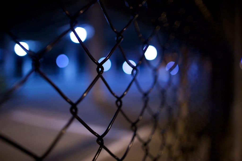 Steel Wires & Mesh